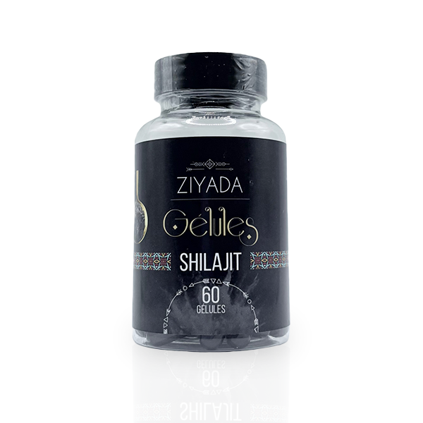 Gélules Shilajit