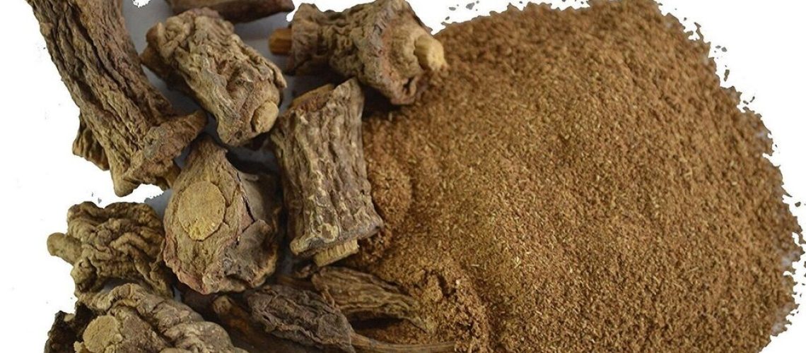Les bienfaits du costus indien